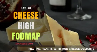 Is Cottage Cheese High FODMAP? A Dietary Guide for IBS Sufferers