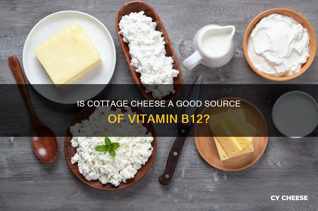 is cottage cheese high in b12
