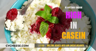 Is Cottage Cheese High in Casein? Uncovering the Truth