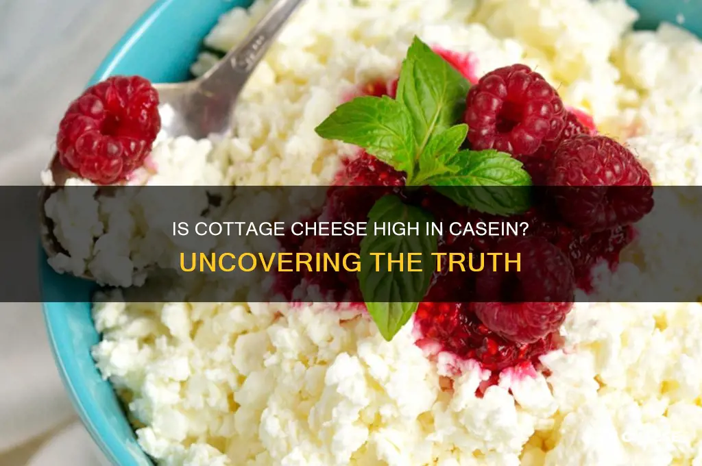 is cottage cheese high in casein