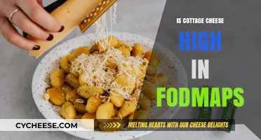 Is Cottage Cheese High in FODMAPs? A Dietary Guide