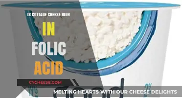 Cottage Cheese and Folic Acid: Uncovering Its Nutritional Benefits