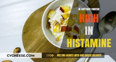 Is Cottage Cheese High in Histamine? Facts and Myths Explained