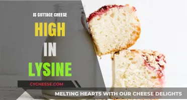 Cottage Cheese and Lysine: Uncovering Its High Protein Benefits