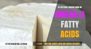 Cottage Cheese and Omega-3: Uncovering Its Fatty Acid Content