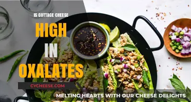 Is Cottage Cheese High in Oxalates? Facts and Myths Revealed