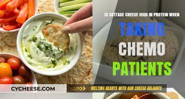 Cottage Cheese Protein Benefits for Chemo Patients: High or Hype?