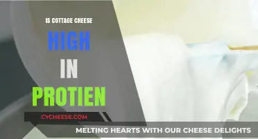 Is Cottage Cheese a High-Protein Food? Nutrition Facts Revealed