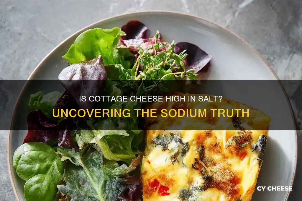 is cottage cheese high in salt