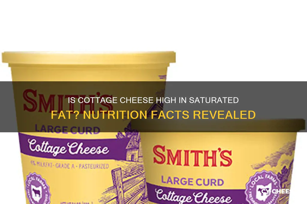 is cottage cheese high in saturated fat