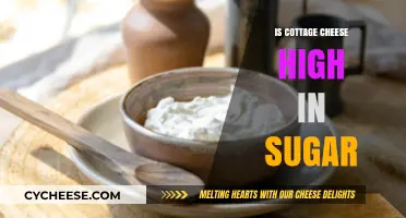 Is Cottage Cheese High in Sugar? Uncovering the Nutritional Truth