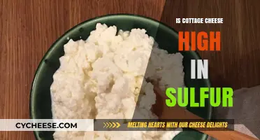 Is Cottage Cheese High in Sulfur? Uncovering the Facts