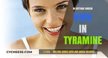 Is Cottage Cheese High in Tyramine? Facts and Myths Explained