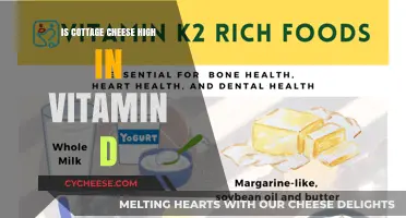 Is Cottage Cheese a Good Source of Vitamin D?