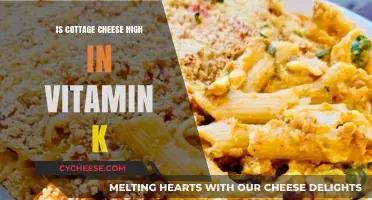 Is Cottage Cheese High in Vitamin K? Nutritional Facts Revealed