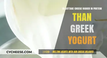 Cottage Cheese vs. Greek Yogurt: Which Packs More Protein?