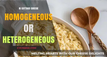 Is Cottage Cheese Homogeneous or Heterogeneous? Unraveling the Dairy Mystery