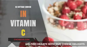 Cottage Cheese and Vitamin C: Unveiling Nutritional Facts and Myths