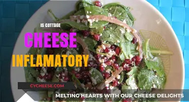 Is Cottage Cheese Inflammatory? Uncovering the Truth for Your Diet