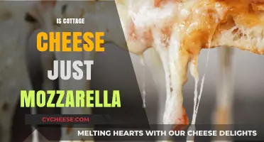Is Cottage Cheese Just Mozzarella? Unraveling the Dairy Mystery