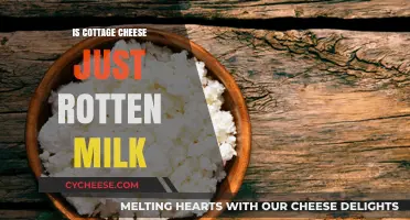 Is Cottage Cheese Rotten Milk? Unraveling the Dairy Mystery