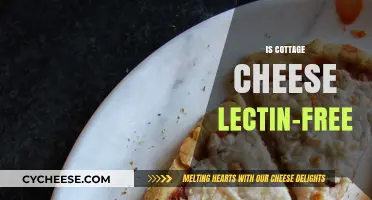 Is Cottage Cheese Lectin-Free? Uncovering the Truth for Your Diet