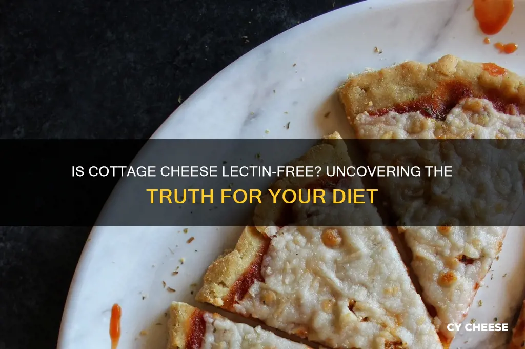 is cottage cheese lectin-free