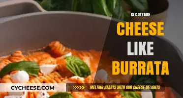 Cottage Cheese vs. Burrata: Texture, Taste, and Culinary Comparisons