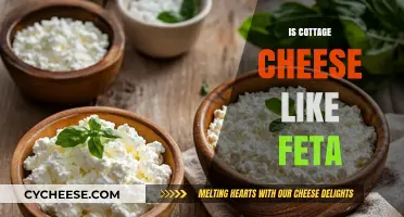 Cottage Cheese vs. Feta: Texture, Taste, and Culinary Uses Compared