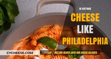 Cottage Cheese vs. Philadelphia: Texture, Taste, and Culinary Uses Compared