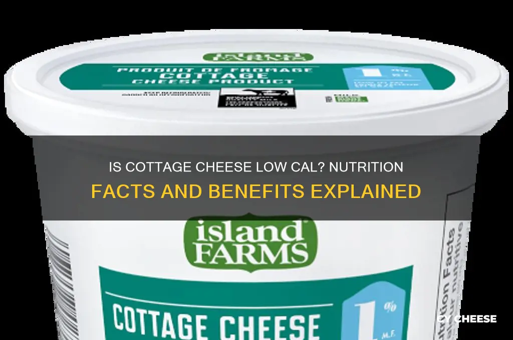 is cottage cheese low cal
