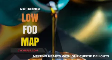 Is Cottage Cheese Low FODMAP? A Digestive-Friendly Diet Guide