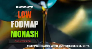 Is Cottage Cheese Low FODMAP? Monash University's Verdict Explained
