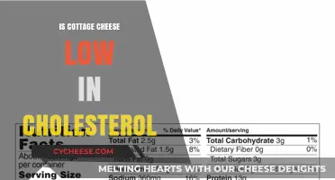 Is Cottage Cheese Low in Cholesterol? Uncovering the Heart-Healthy Truth