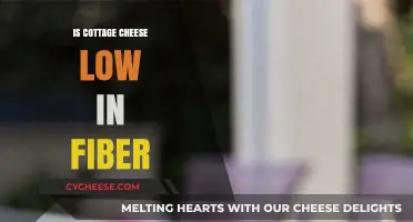 Is Cottage Cheese Low in Fiber? Nutritional Facts Revealed