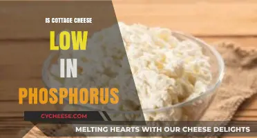 Is Cottage Cheese Low in Phosphorus? A Nutritional Breakdown