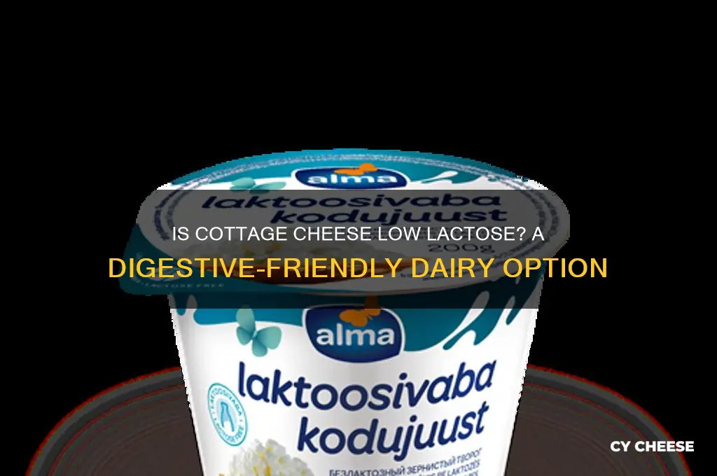 is cottage cheese low lactose