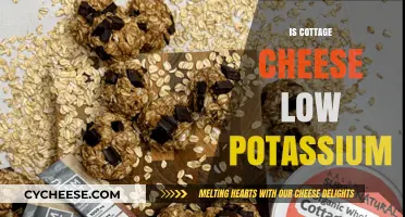 Is Cottage Cheese Low Potassium? Unveiling the Truth for Your Diet