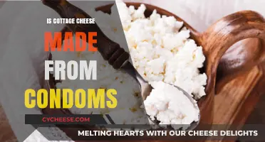 Cottage Cheese and Condoms: Unraveling the Bizarre Myth and Facts