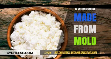Is Cottage Cheese Made from Mold? Unraveling the Dairy Mystery