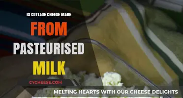 Is Cottage Cheese Made from Pasteurized Milk? Facts Revealed