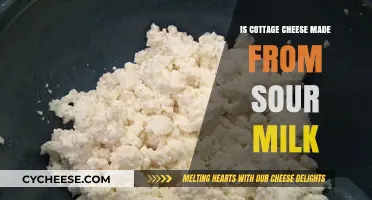 Is Cottage Cheese Made from Sour Milk? Unraveling the Dairy Mystery