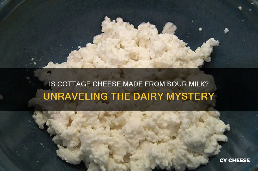 is cottage cheese made from sour milk