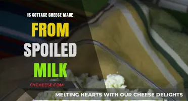 Is Cottage Cheese Made from Spoiled Milk? Unraveling the Myth
