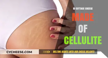 Cottage Cheese and Cellulite: Unraveling the Myth Behind Its Texture