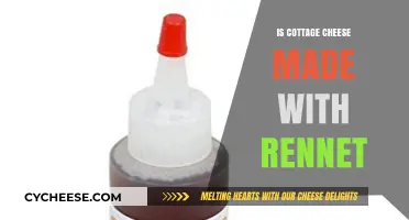 Is Cottage Cheese Made with Rennet? Uncovering the Truth