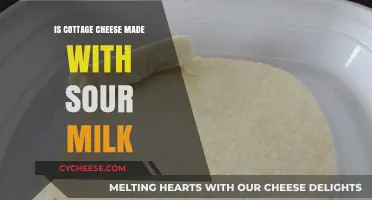 Is Cottage Cheese Made with Sour Milk? Unraveling the Dairy Mystery