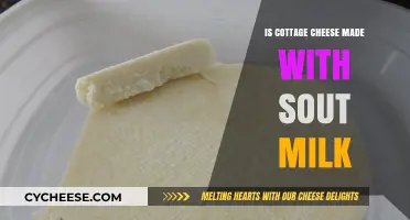 Is Cottage Cheese Made with Sour Milk? Unraveling the Dairy Mystery