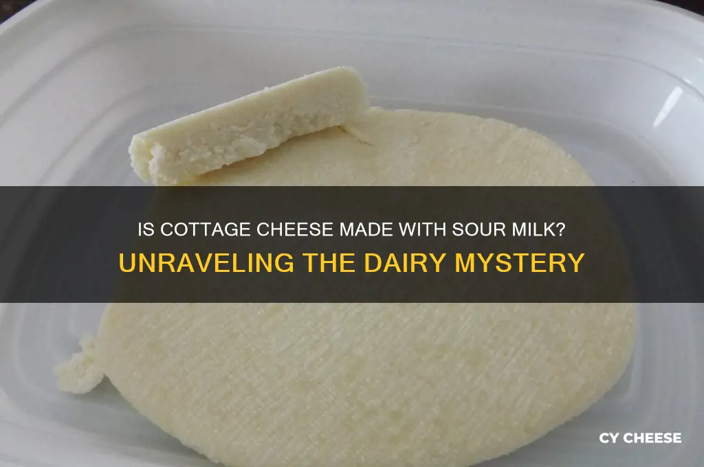 is cottage cheese made with sout milk