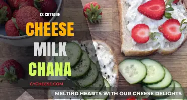 Is Cottage Cheese Milk Chana? Unraveling the Dairy Mystery